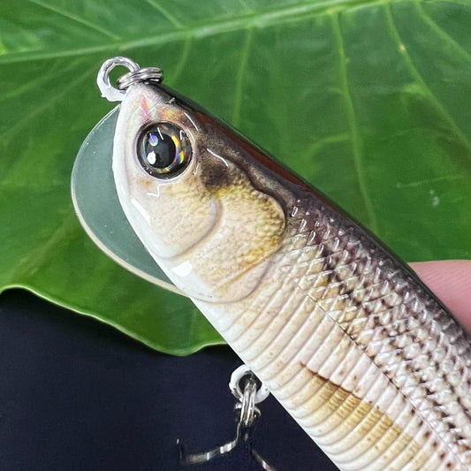 Fishing Lure With Soft Tail, Bionic Fishing Lure