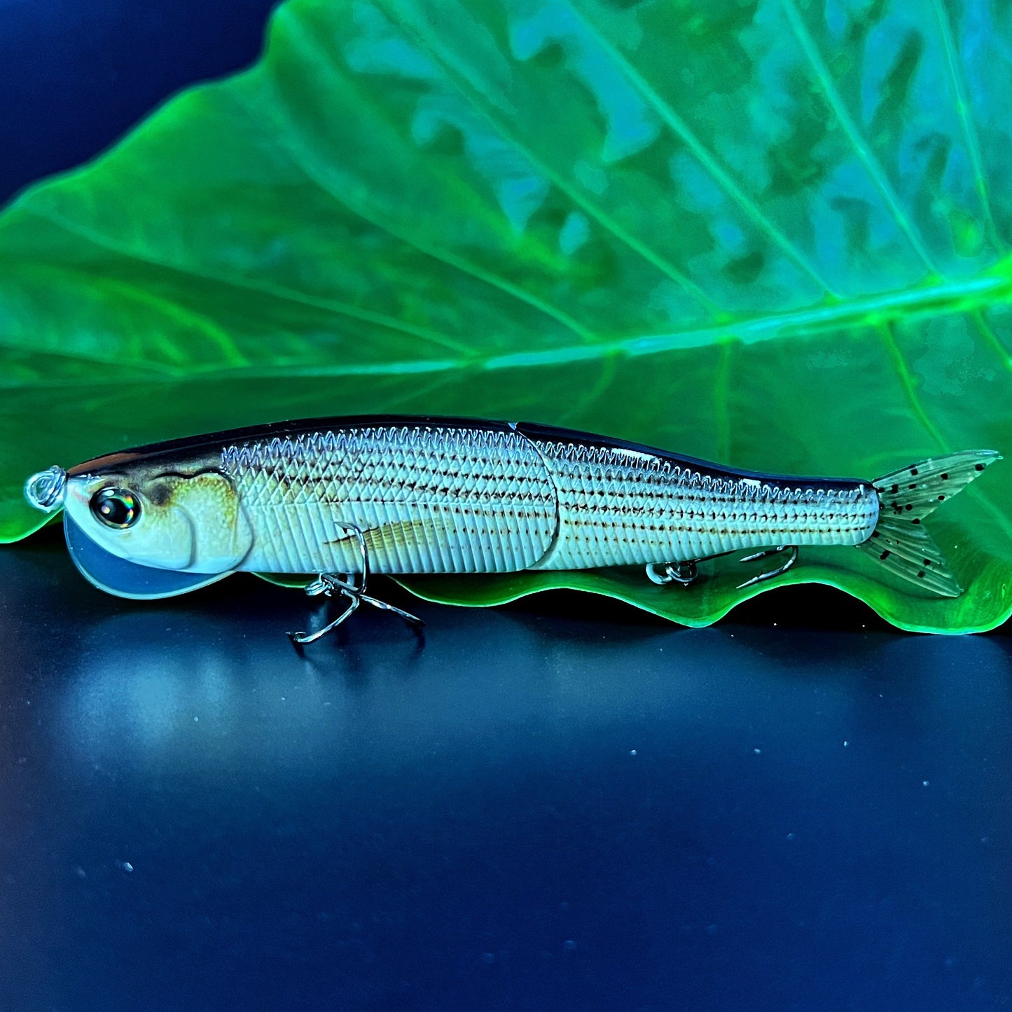Fishing Lure With Soft Tail, Bionic Fishing Lure