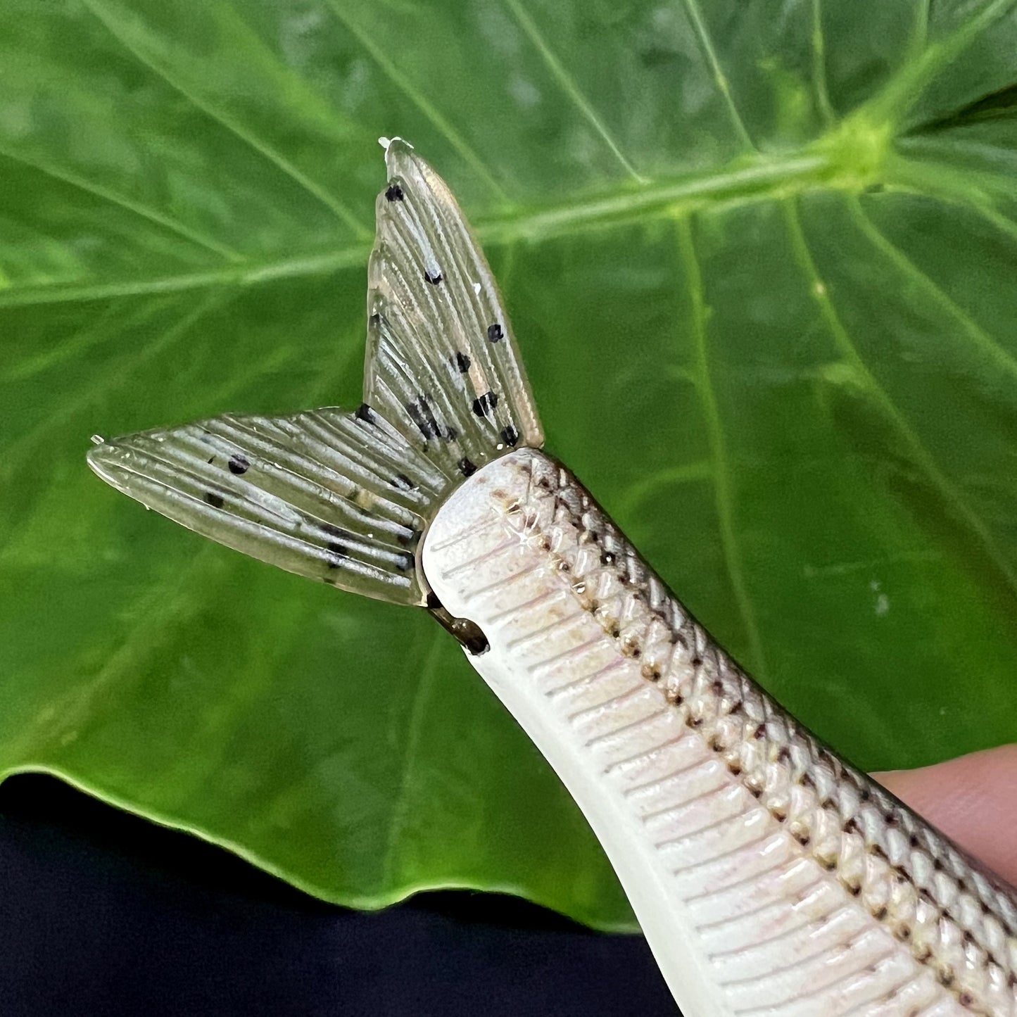 Fishing Lure With Soft Tail, Bionic Fishing Lure