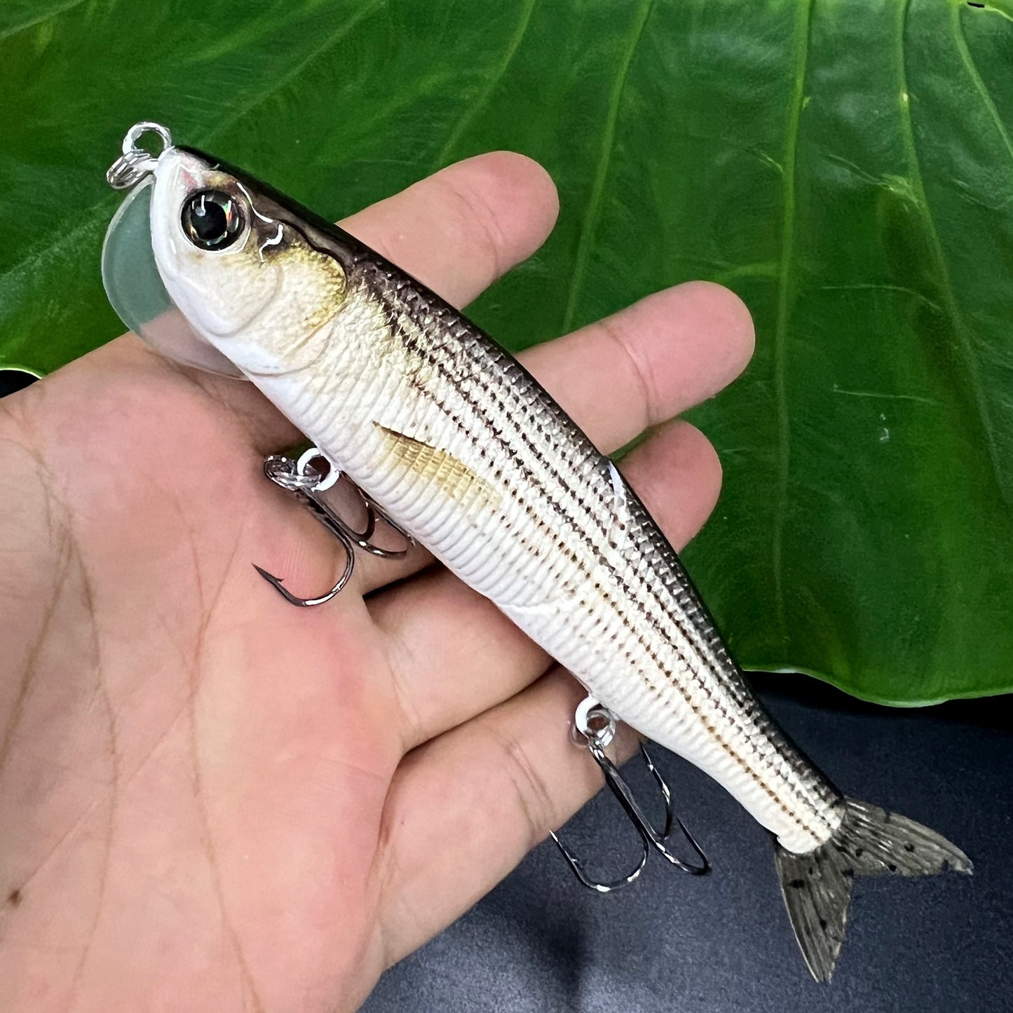 Fishing Lure With Soft Tail, Bionic Fishing Lure