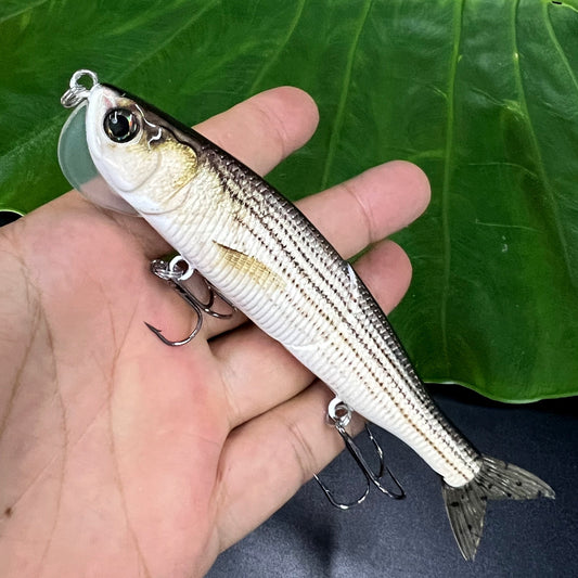 Fishing Lure With Soft Tail, Bionic Fishing Lure